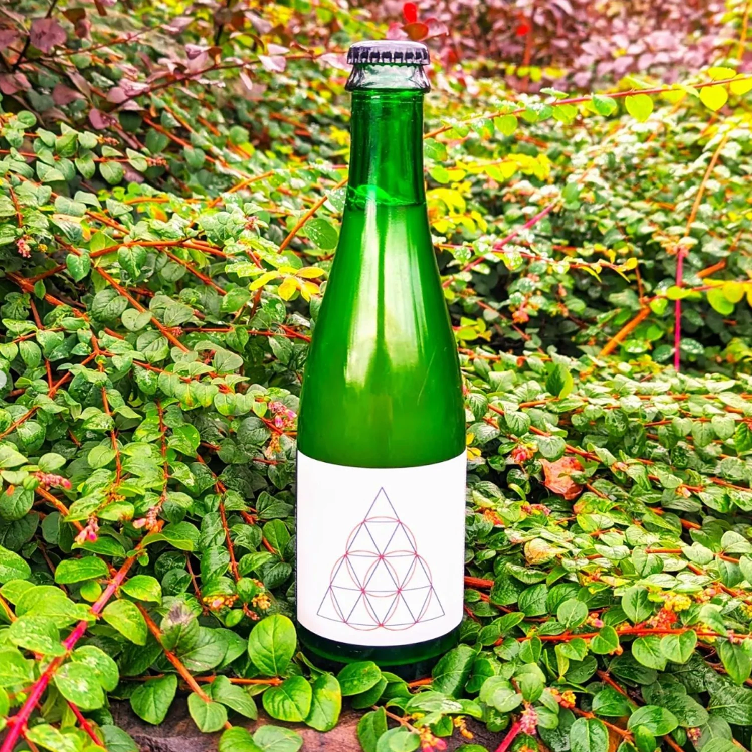 Up Front Oh Ma Darlin' Bretted Pale Ale 3 Up Front Oh Ma Darlin' Bretted Pale Ale