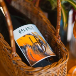 Balance Fools Gold Wild Ale