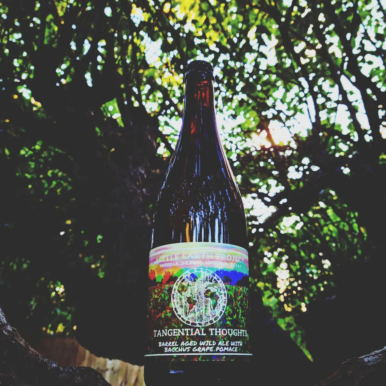 Little Earth Project Tangential Thoughts BA Wild Ale 3 Little Earth Project Tangential Thoughts BA Wild Ale