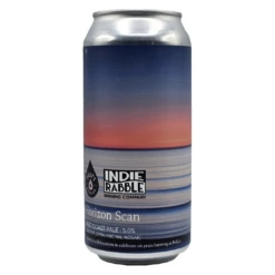 Polly's X Indie Rabble Horizon Scan WC Pale Ale -UK Drinks Sales 2024 4071418121